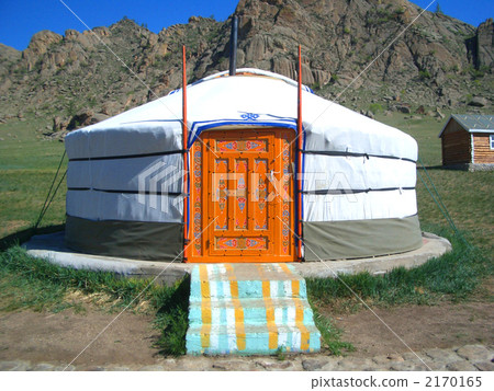 Mongolian gel 2170165