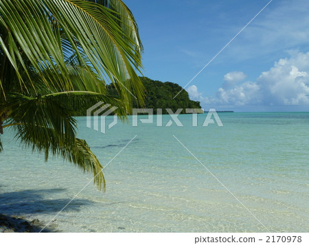 鯉魚島海灘2 2170978