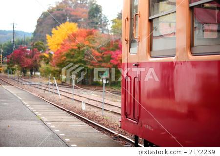 Autumn leaves and local lines Autumn leaves and local lines 2172239