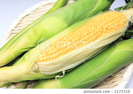 Fresh corn Fresh corn 2172310