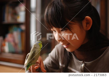 鳥類和女孩 2173863