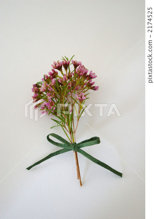 Wax flower mini bouquet 2174525