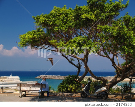 庫達卡島 2174533