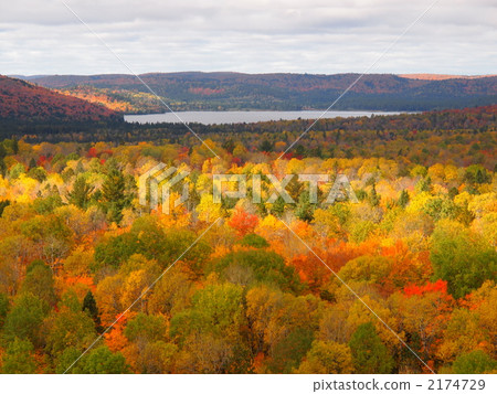 Autumn leaves in Canada Autumn leaves in Canada 2174729