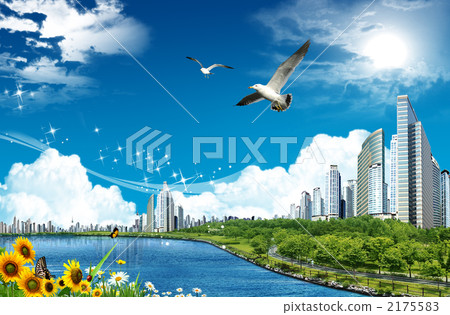 City_k _ 556250 City_k _ 556250 2175583