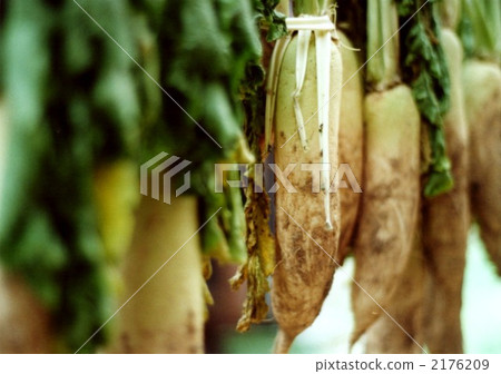 蘿蔔幹···2 2176209