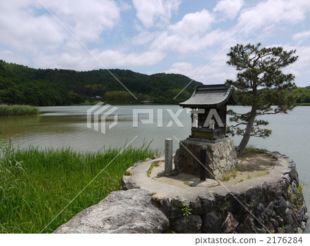 廣澤池 池塘 鹹水湖 2176284