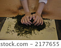 茶塵 2177655