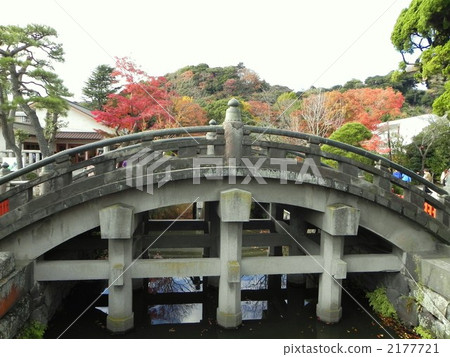 鶴岡八幡宮（鎌倉）的橋樑 2177721