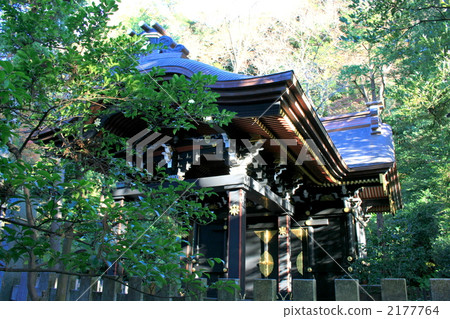 Visit Kamakura Tsurugaoka Hachimangu Shrine in late autumn 2177764