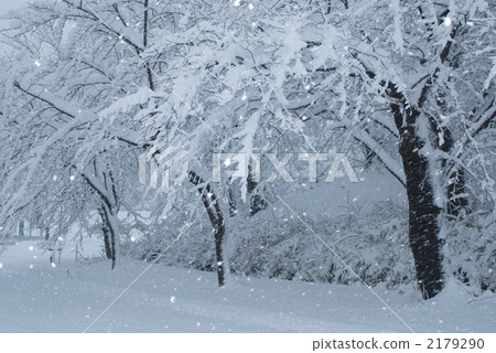 白雪皚皚 雪景 柱廊 2179290