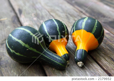 玩具壁球 2179932