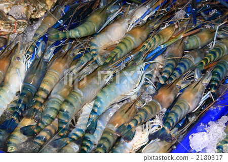 Tenaga Ibi Bangkok Thailand Tenaga Ibi Bangkok Thailand 2180317