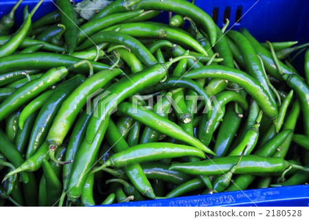 Blue Pepper Bangkok Thailand Blue Pepper Bangkok Thailand 2180528