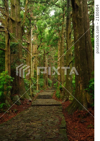 Kumano Kodo · Daimonzaka 2180864