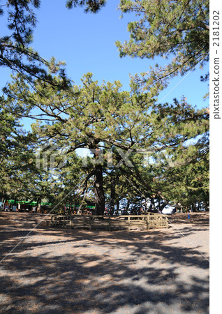 Matsuro changed the generations of Hagoromo 2181202