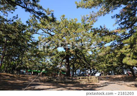 Matsuro changed the generations of Hagoromo 2181203