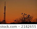 sunset, steel tower, crow 2182655