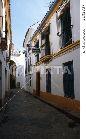 Small diameter of Cordoba flower 2182837