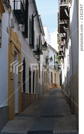 Small diameter of Cordoba flower 2182847