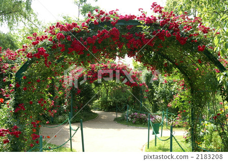 Rose arch garden garden 2183208