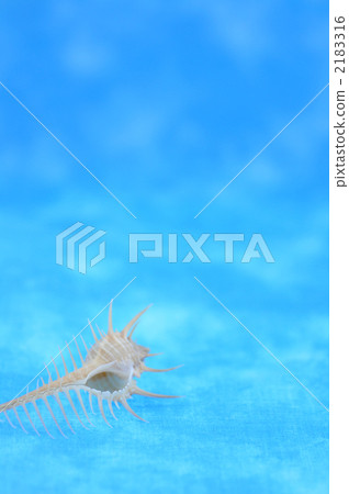 Summer image 2183316