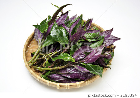 島上的蔬菜 食物 美食 2183354