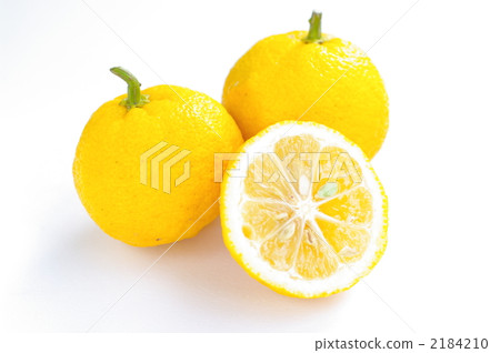 柚子 2184210