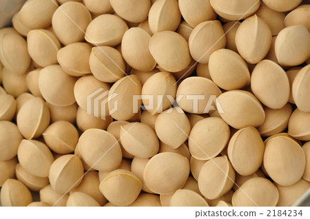 銀杏 銀杏 2184234