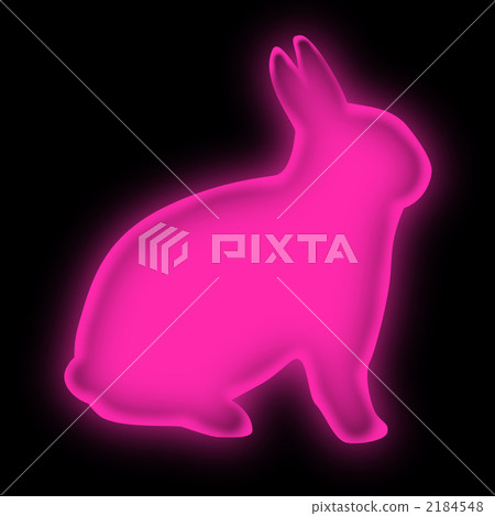 一隻兔子 2184548