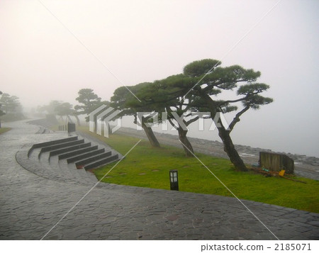 Lake Shinji lake of fog 2185071