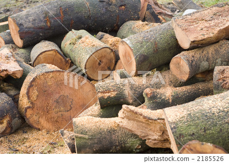firewood, firewoods, fuelwood 2185526
