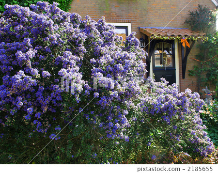 海外私人住宅Seanosus Soliccha Holland 2185655