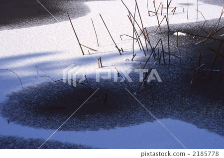 冬日 冬日 2185778