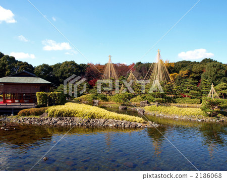 At the swan garden 2186068