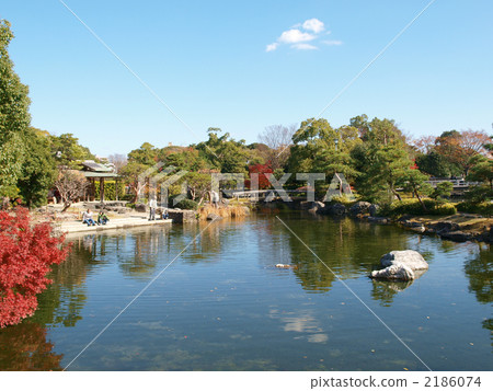 Swan garden 2186074