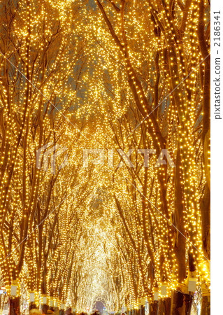 SENDAI的盛會 2186341