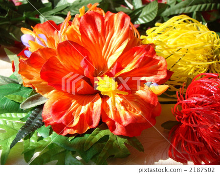 Hair hair clip 2187502