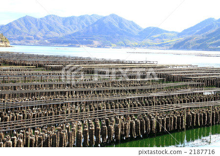 Oyster suppression shelf 2187716