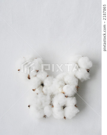 棉襯衫（垂直） 2187865