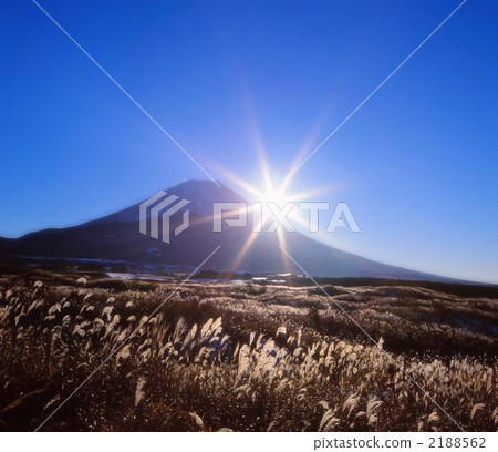 風景 富士山 日本蒲葦 2188562