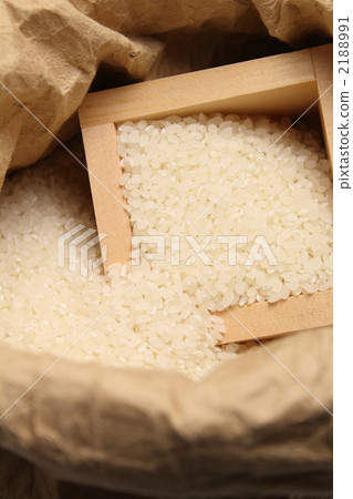 來自茨城縣的新Iksaki Hikari 2188991