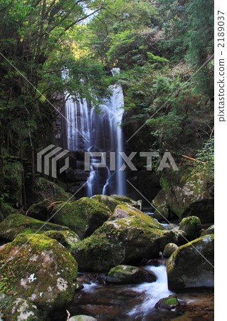 桑樹瀑布 2189037