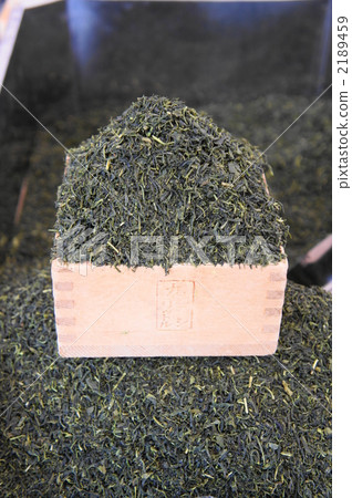 Green Tea  2189459
