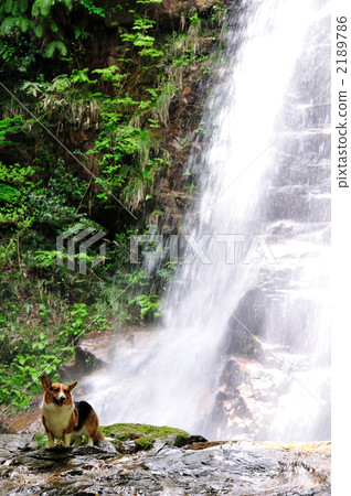 Laugh at the waterfall Laugh at the waterfall 2189786