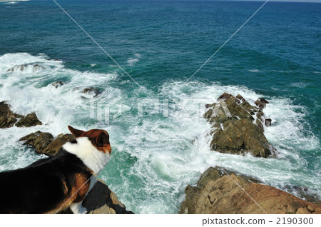 看看海浪 看看海浪 2190300
