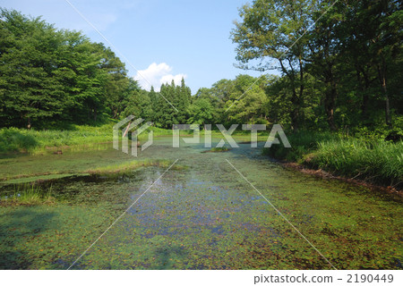 在山里 湖泊 原始森林 2190449