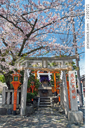 Gion Shirakawa Tatsumi Omijin no cherry tree Gion Shirakawa Tatsumi Omijin no cherry tree 2190721