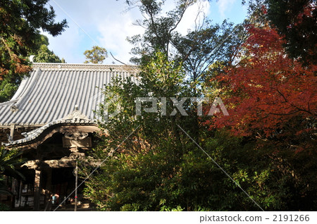 [四國88處]愛媛縣松山市深秋Joruri寺院地46號 2191266