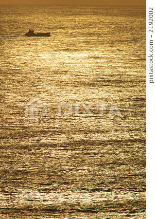 金海 金海 2192002